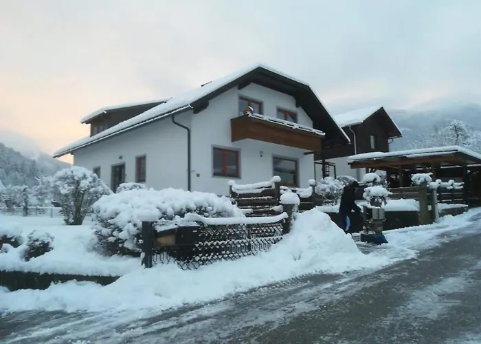 Steiner Gertrude Gaming